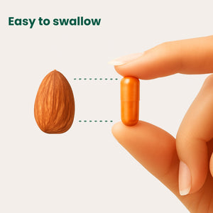 Turmeric Curcumin Capsules (1,000mg)