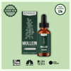 (BUY 1 GET 2) Mullein + Chlorophyll Lung Drops